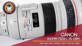 Canon 300mm f28 L IS USM  how and why I use this BIG LENS [upl. by Millicent]