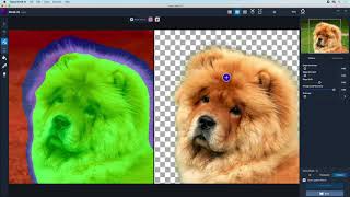 Learn better and faster image masking with Topaz Mask AI [upl. by Atlee]