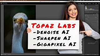 Topaz  Lightroom Workflow [upl. by Eerised]