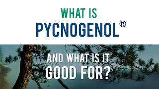 Pycnogenol® General Animated Infographic [upl. by Arch]