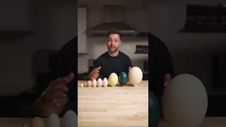 I Cooked the World’s CRAZIEST Eggs [upl. by Neve]