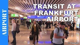 TRANSIT WALK AT FRANKFURT Airport FRA Terminal 1  Connection Flight Transfer Arriving amp Departing [upl. by Rainie]