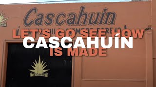 Lets visit the Cascahuin distillery [upl. by Krefetz]