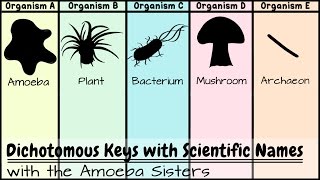 Dichotomous Keys Identification Achievement Unlocked [upl. by Egag]