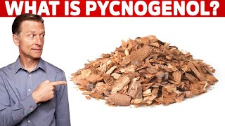 What is Pycnogenol [upl. by Magdaia266]