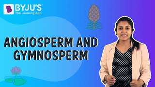 Difference Between Angiosperms And Gymnosperms [upl. by Ahsiam513]