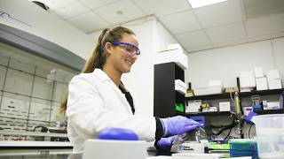 Undergraduates in the Biochemistry Lab [upl. by Hilly]