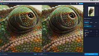 How to Fix Blurry Images with Topaz Sharpen AI [upl. by Yramesor]